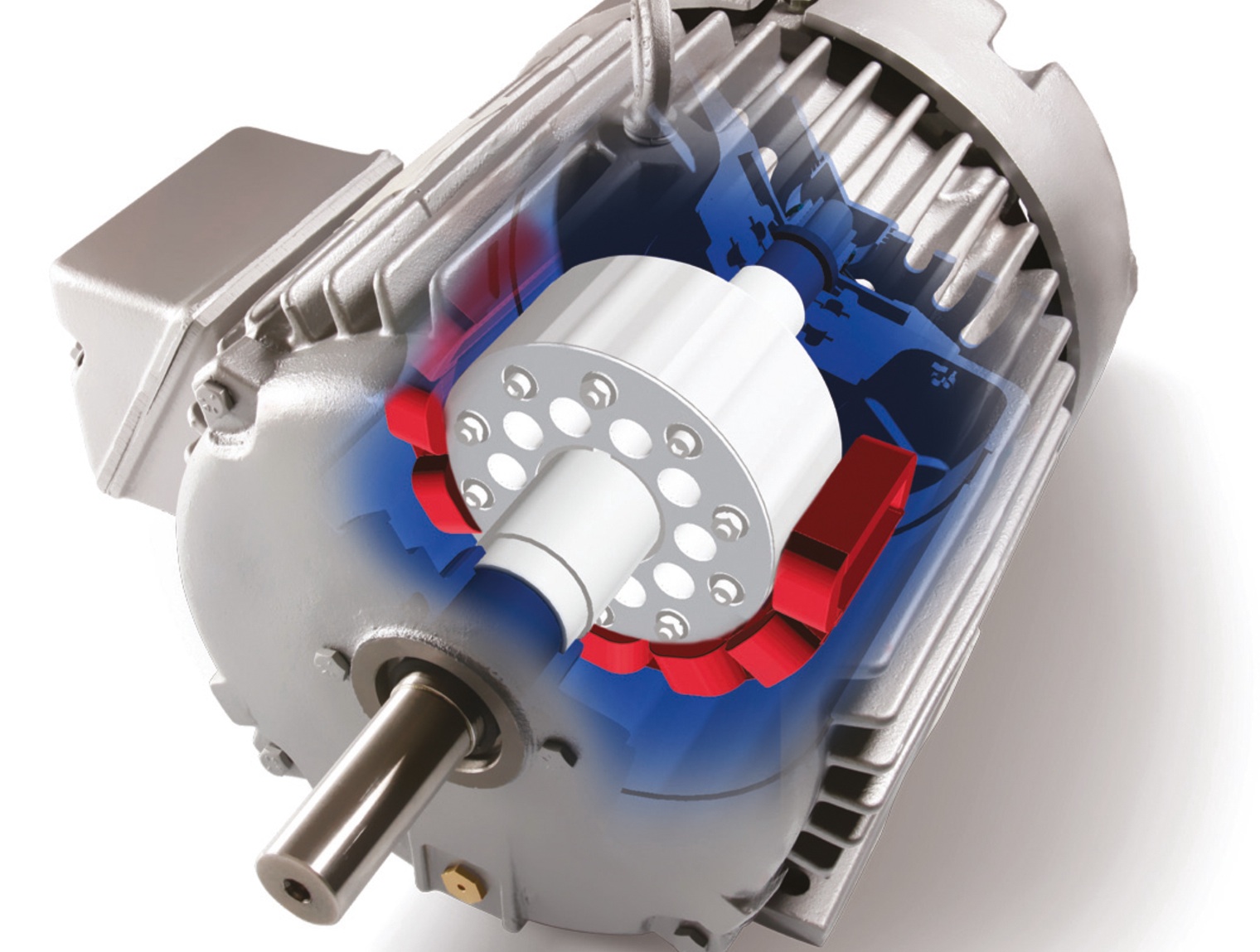 Рис. 1. Устройство асинхронного электродвигателя.